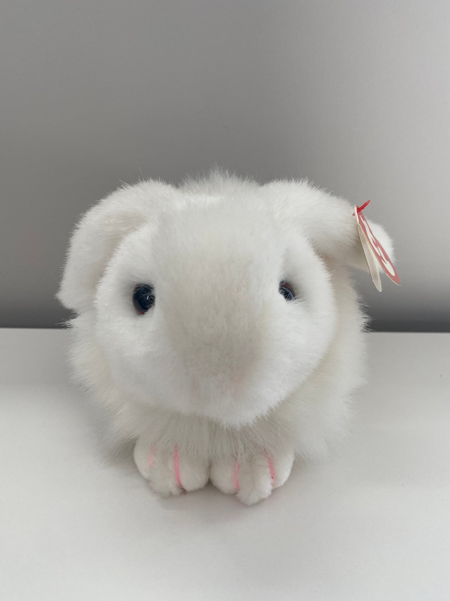 Ty Classics Collection “Nibbles” the Bunny Rabbit (8 inch)
