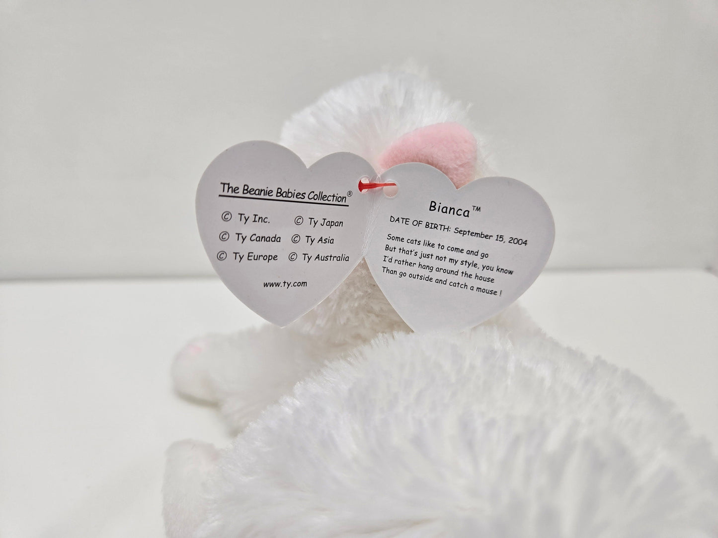 Ty Beanie Baby “Bianca” the Adorable White Cat with Pink Bow *Rare*! (8 inch)