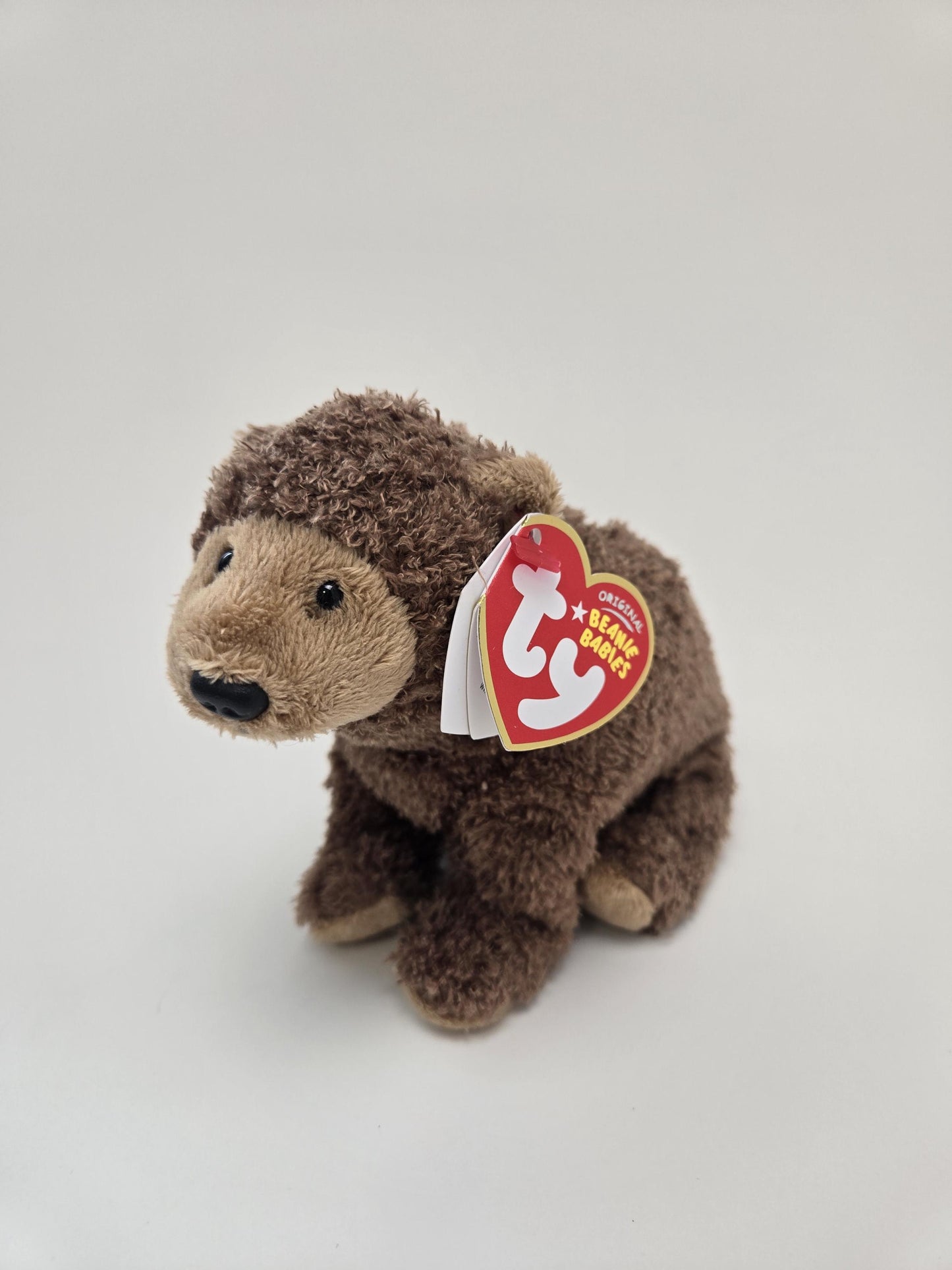 TY Beanie Baby “Monarch” the Grizzly Bear - San Francisco Zoo Exclusive with Original Zoo Guide and Bag! Rare! (5.5 inch)