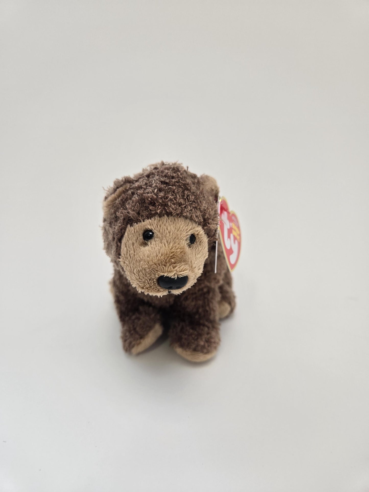 TY Beanie Baby “Monarch” the Grizzly Bear - San Francisco Zoo Exclusive with Original Zoo Guide and Bag! Rare! (5.5 inch)
