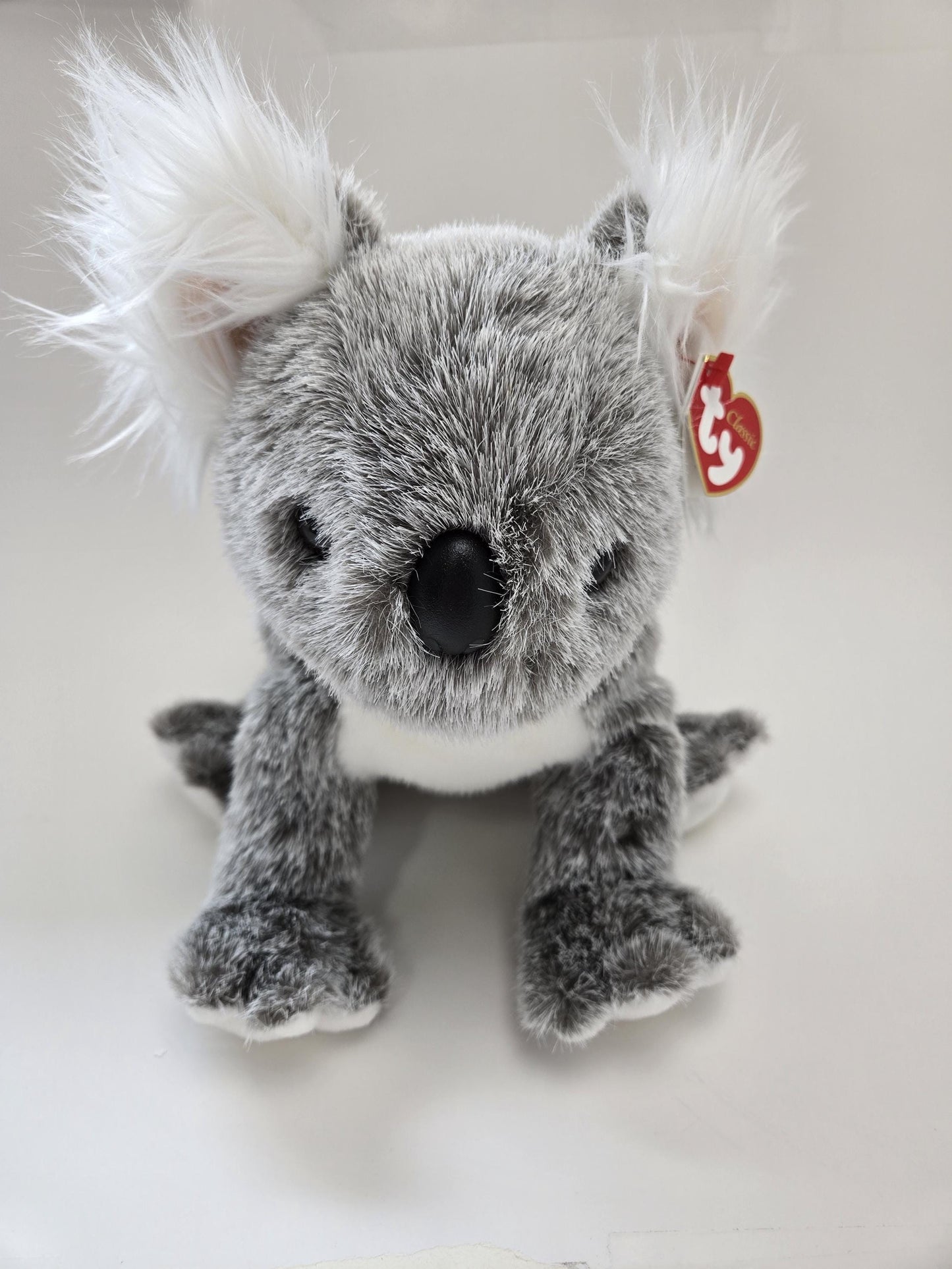 TY Classics Collection “Beaut” the Koala Plush - Minor Crease in Tag (12 inch)