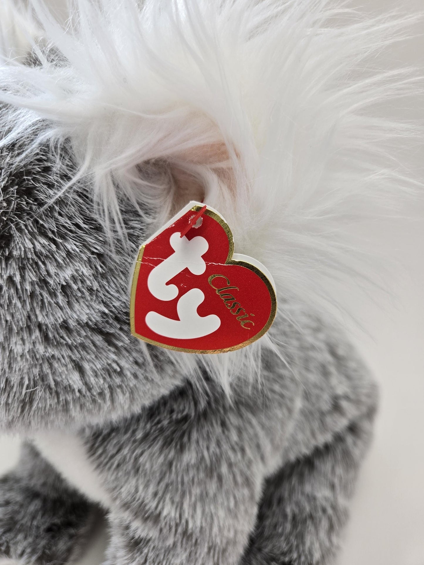 TY Classics Collection “Beaut” the Koala Plush - Minor Crease in Tag (12 inch)
