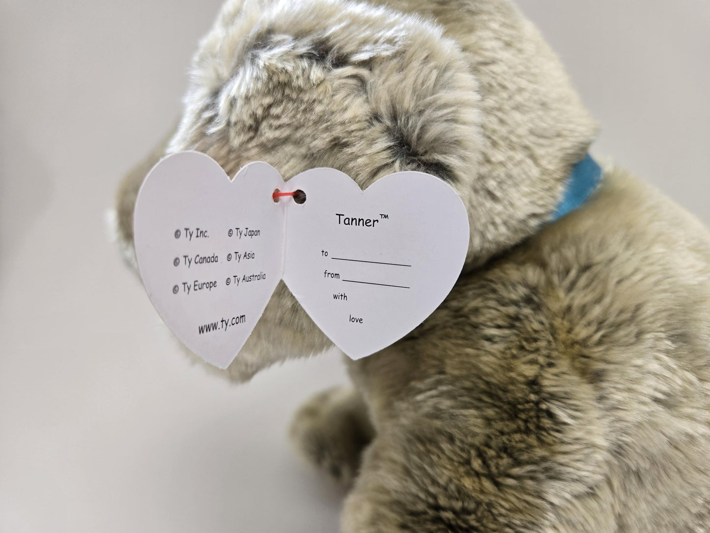 Ty Classics Collection “Tanner” the Dog with Blue Bow (12 inch)