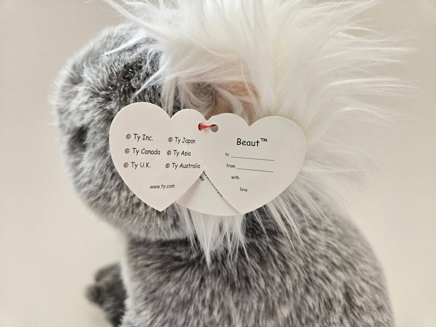 TY Classics Collection “Beaut” the Koala Plush - Minor Crease in Tag (12 inch)
