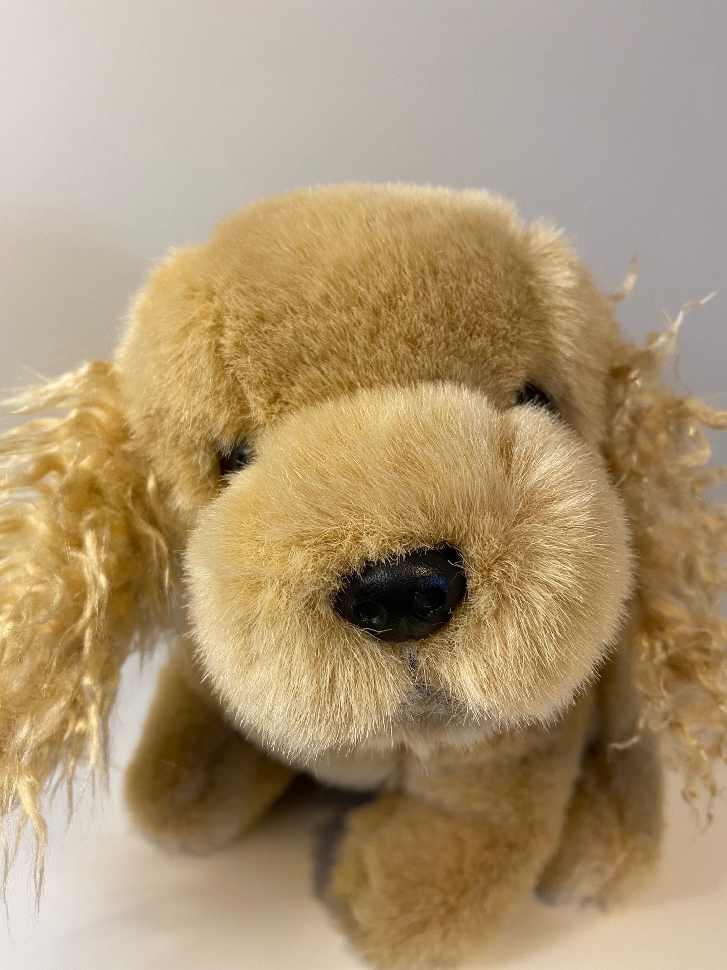 Ty Classics Collection “Spanky” the Cocker Spaniel Dog ie (12 inch)