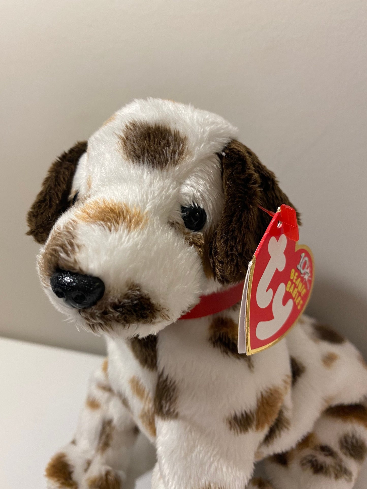 Ty Beanie Baby “Bo” the Dalmatian! (6 inch)