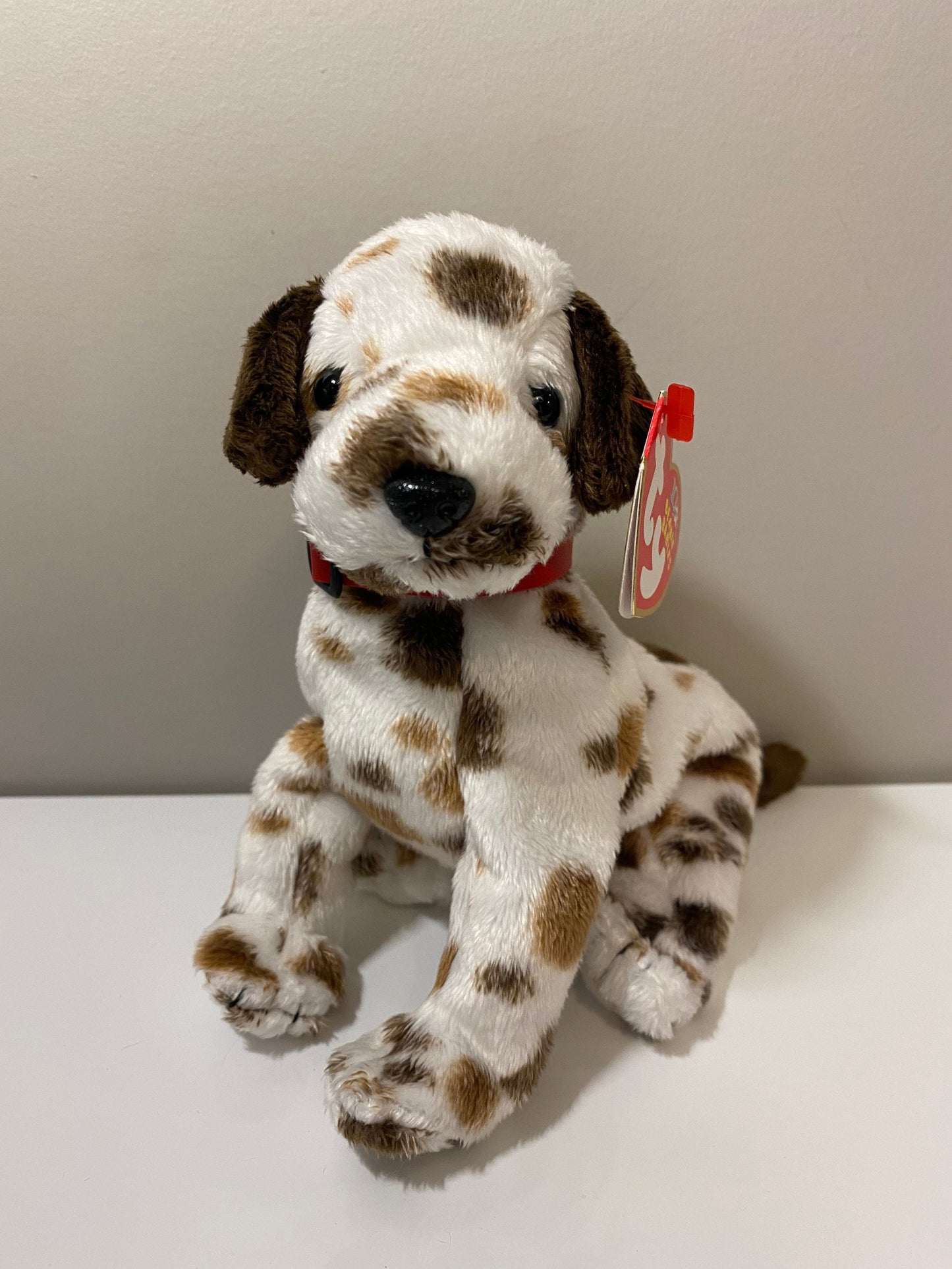 Ty Beanie Baby “Bo” the Dalmatian! (6 inch)