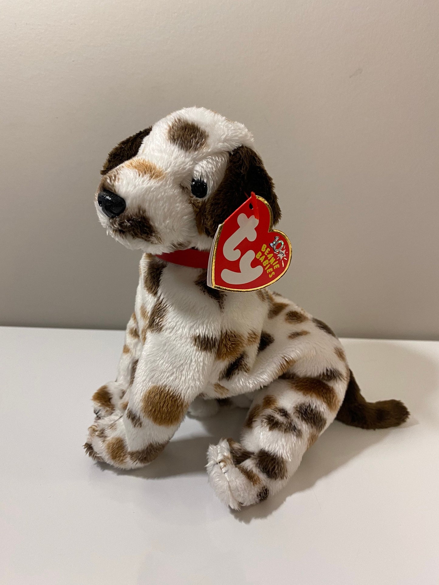 Ty Beanie Baby “Bo” the Dalmatian! (6 inch)