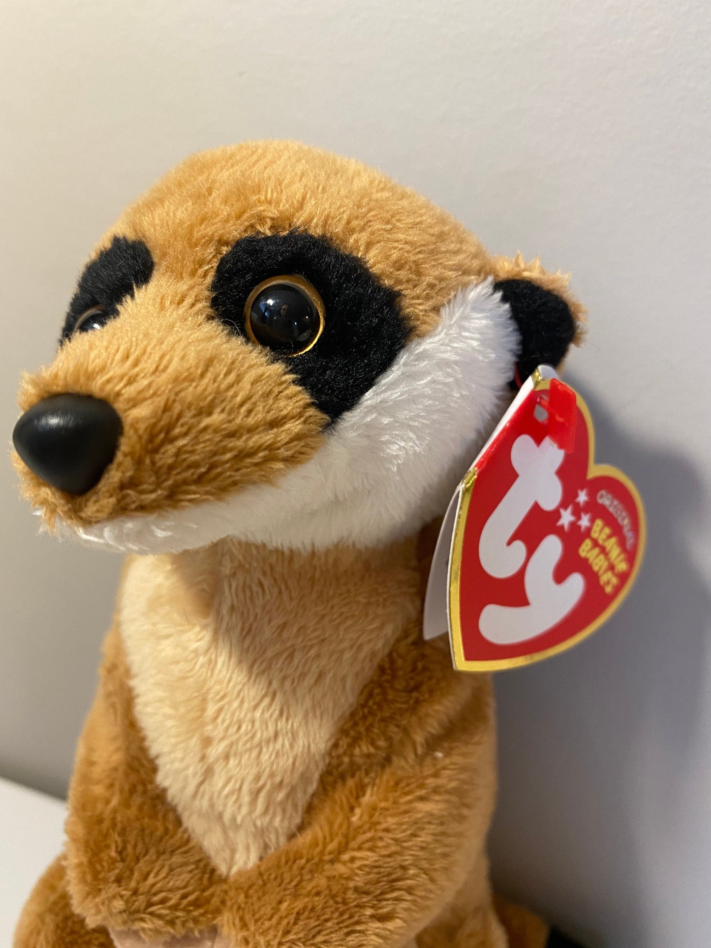 Ty Beanie Baby “Burrows” the Meerkat! (6.5 inch)