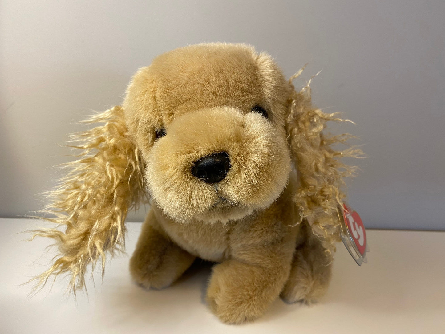 Ty Classics Collection “Spanky” the Cocker Spaniel Dog ie (12 inch)