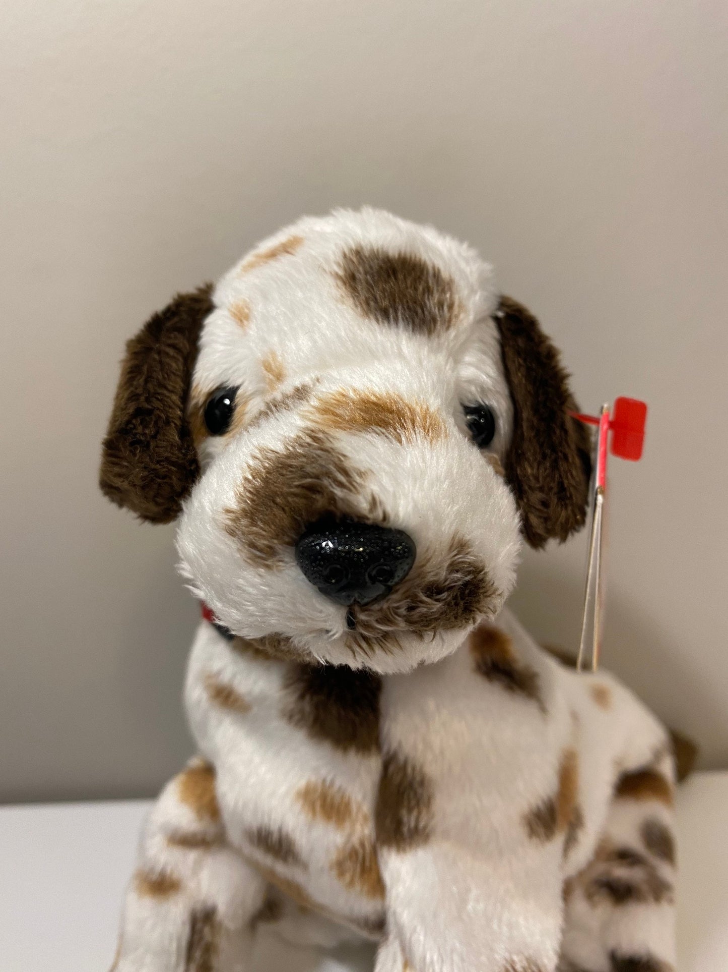 Ty Beanie Baby “Bo” the Dalmatian! (6 inch)