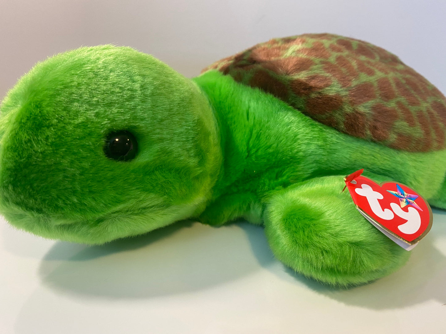 Ty Beanie Buddy “Speedy” the Turtle (11 inch)