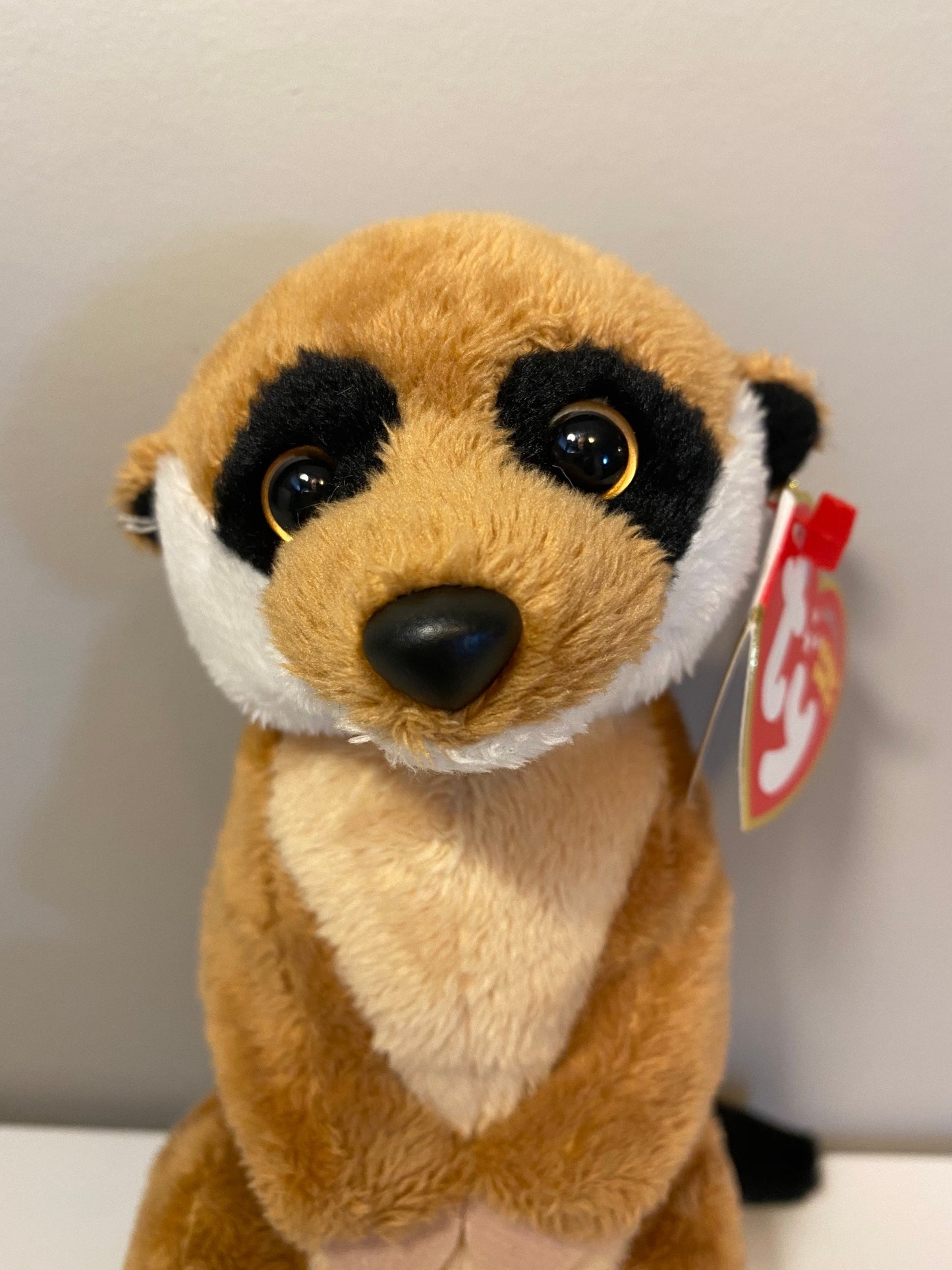 Ty Beanie Baby “Burrows” the Meerkat! (6.5 inch)