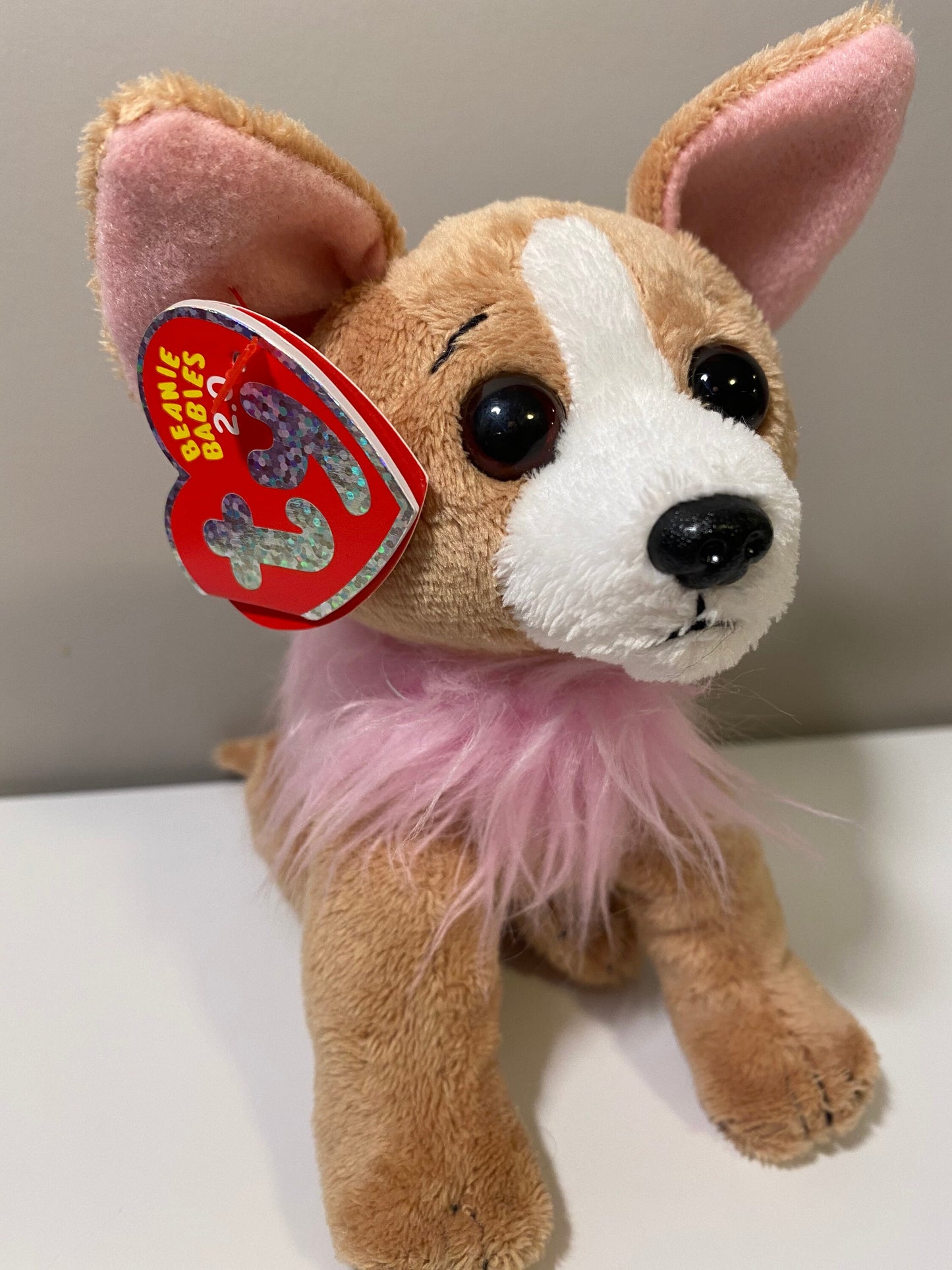 Ty Beanie Baby 2.0 “Pico” the Chihuahua Dog! (6 inch)