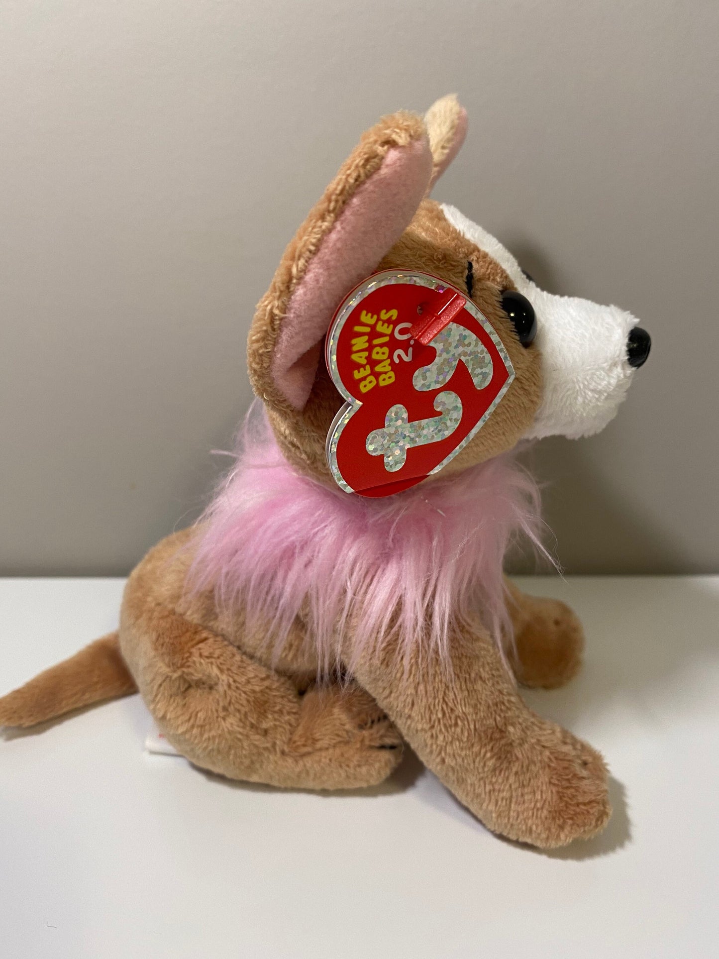 Ty Beanie Baby 2.0 “Pico” the Chihuahua Dog! (6 inch)