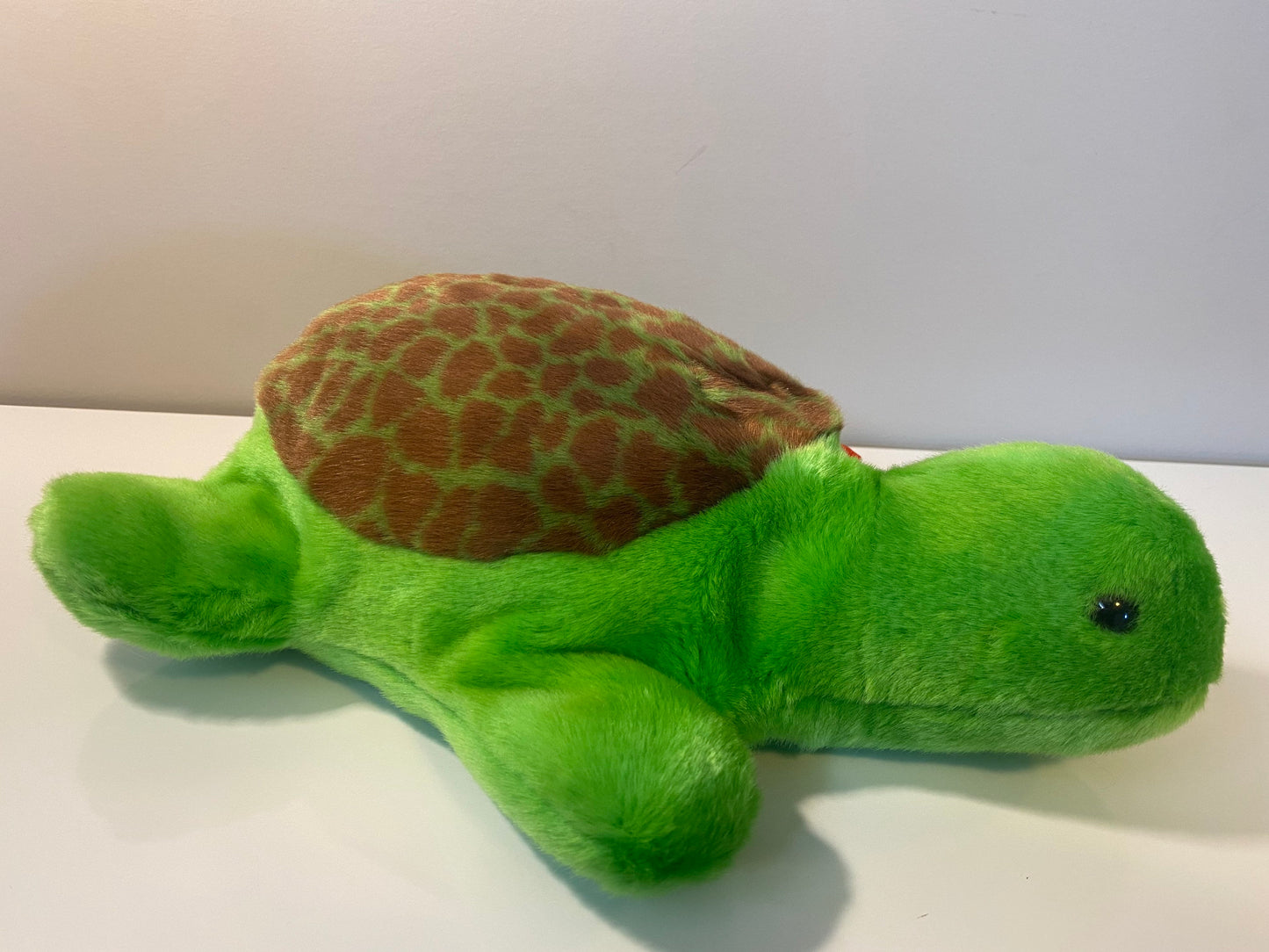 Ty Beanie Buddy “Speedy” the Turtle (11 inch)