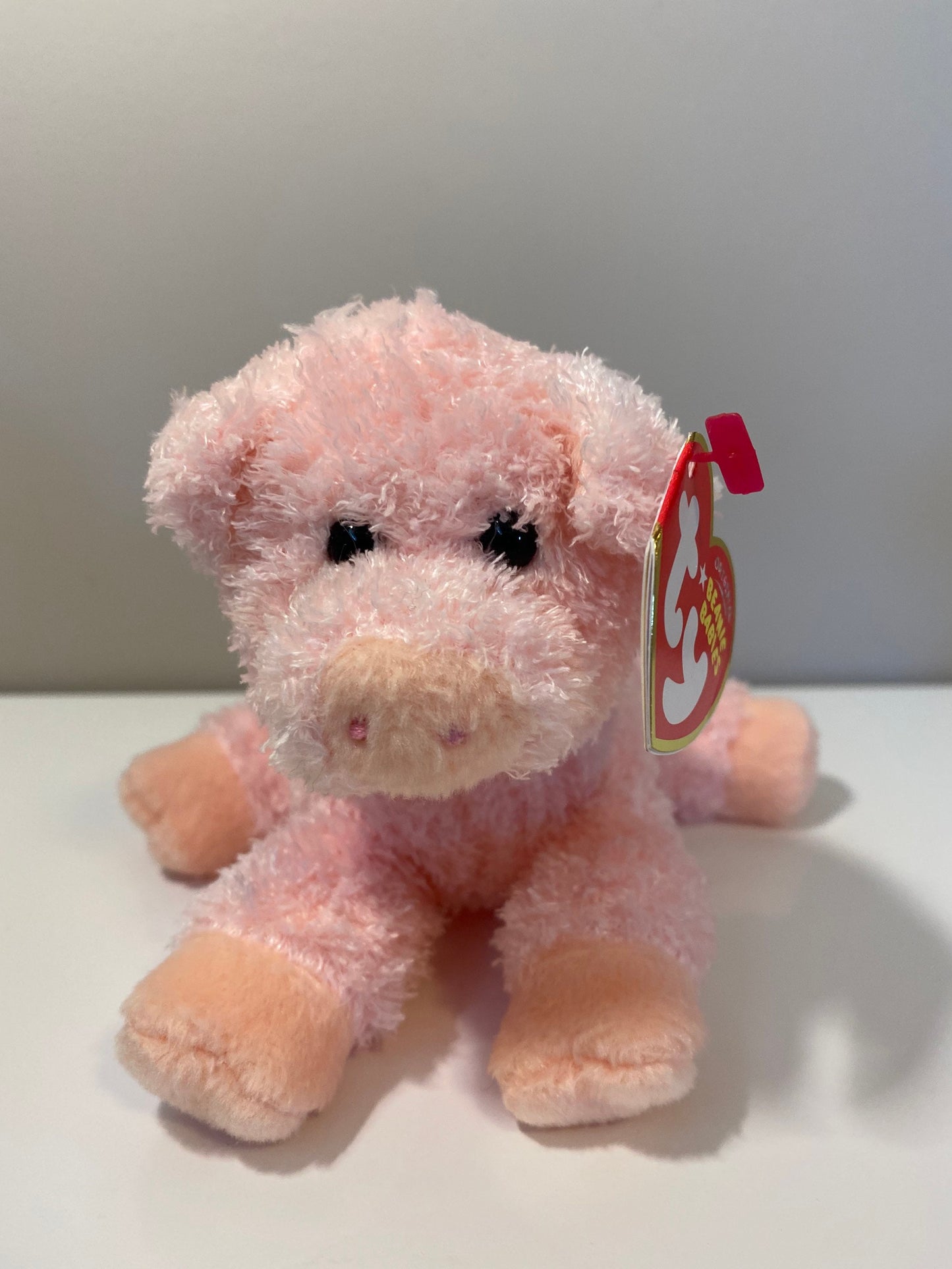 Ty Beanie Baby “Soybean” the Pig! (6 inch)