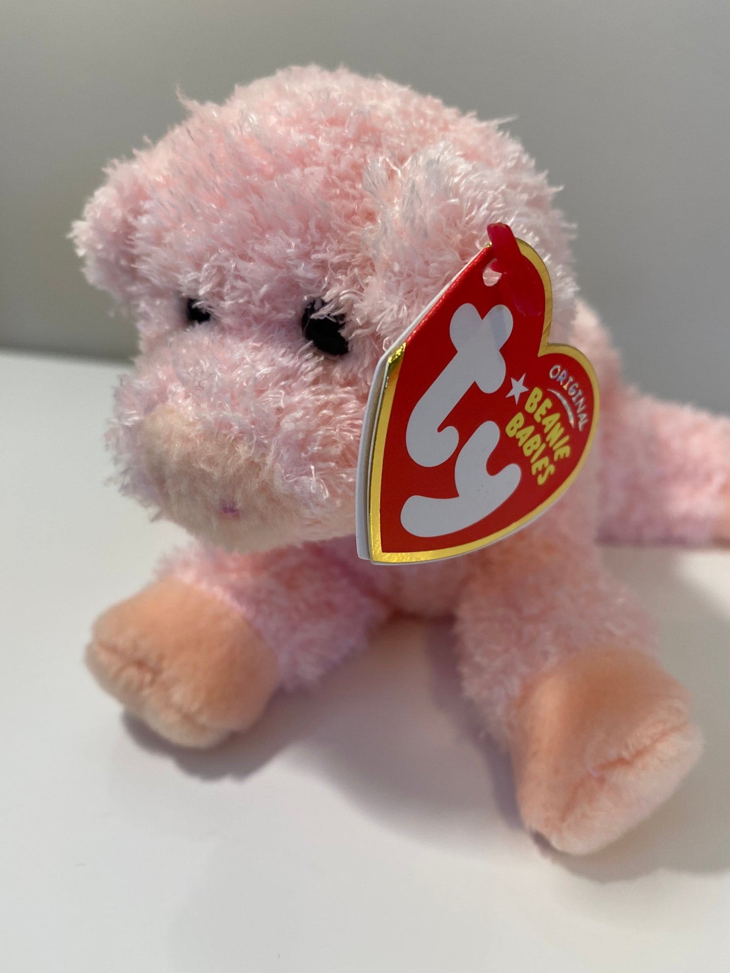 Ty Beanie Baby “Soybean” the Pig! (6 inch)