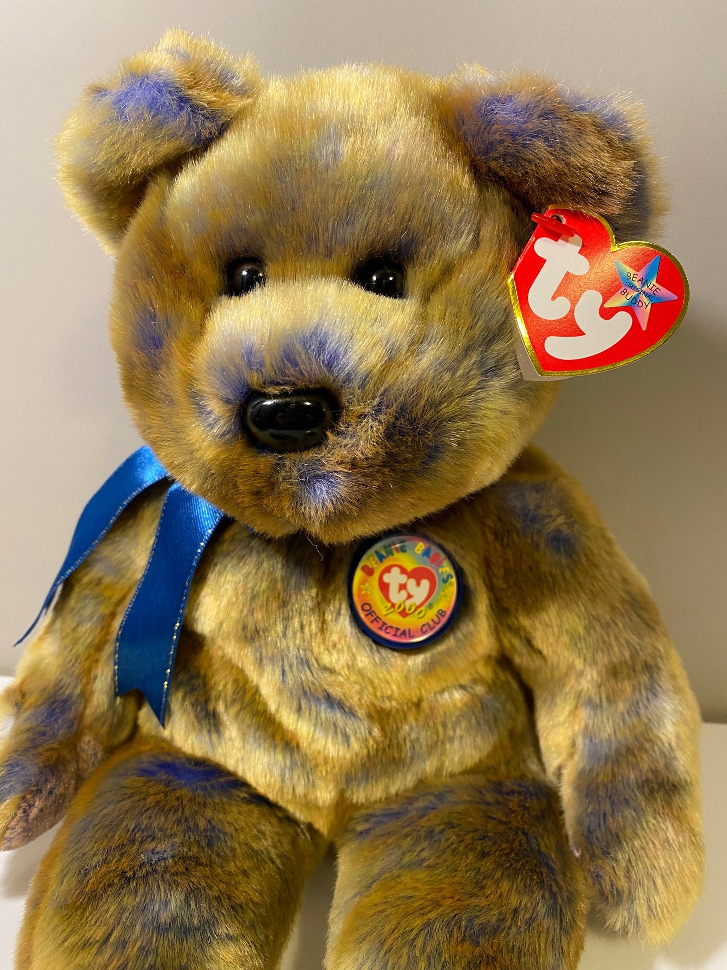 Ty Beanie Buddy “Clubby III” the Bear! (13.5 inch)