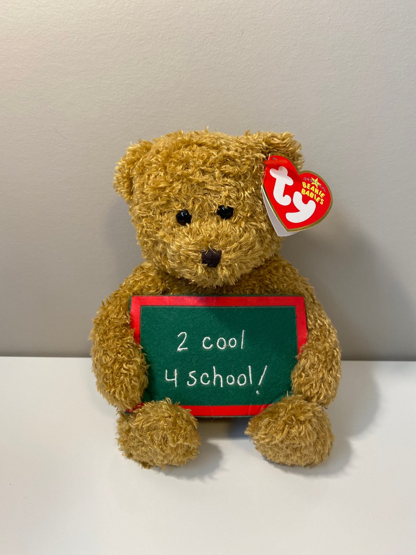 Ty Beanie Baby “School Rocks” the Bear holding a sign that says “2 Cool 4 School” - Greetings Collection (5 inch)