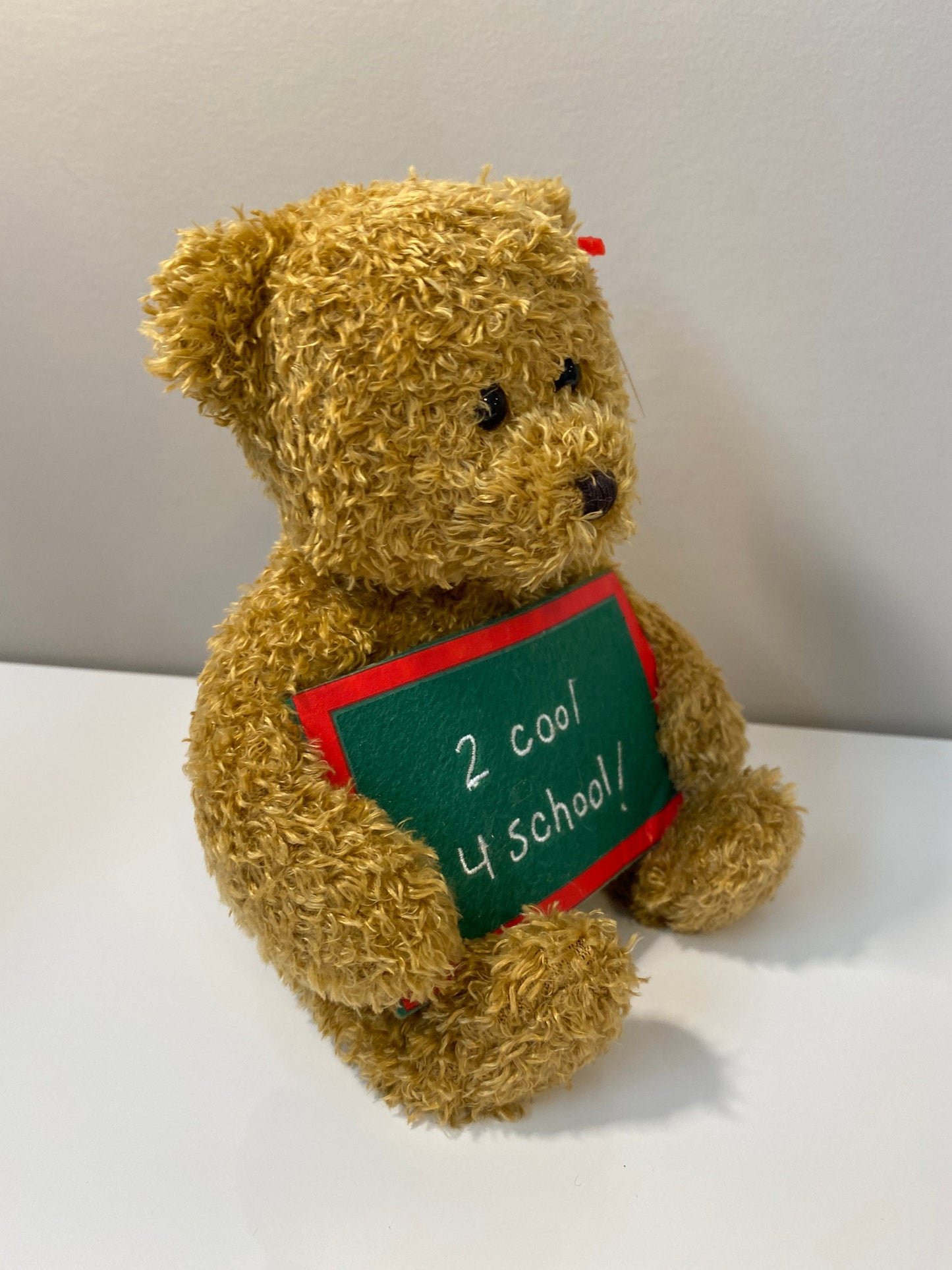 Ty Beanie Baby “School Rocks” the Bear holding a sign that says “2 Cool 4 School” - Greetings Collection (5 inch)