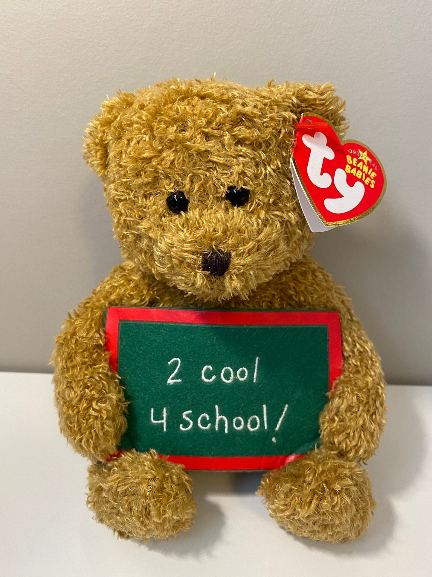 Ty Beanie Baby “School Rocks” the Bear holding a sign that says “2 Cool 4 School” - Greetings Collection (5 inch)