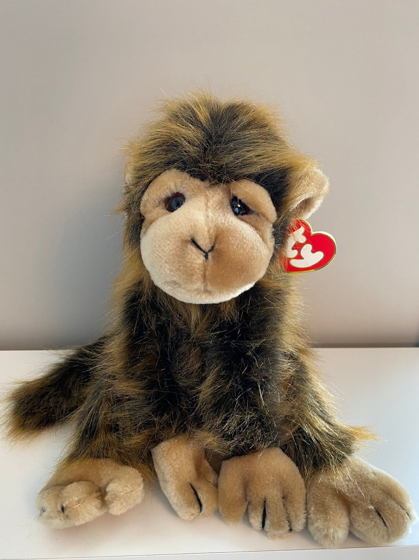 Ty Classics Collection “Cha Cha” the Chimpanzee! (12 inch)