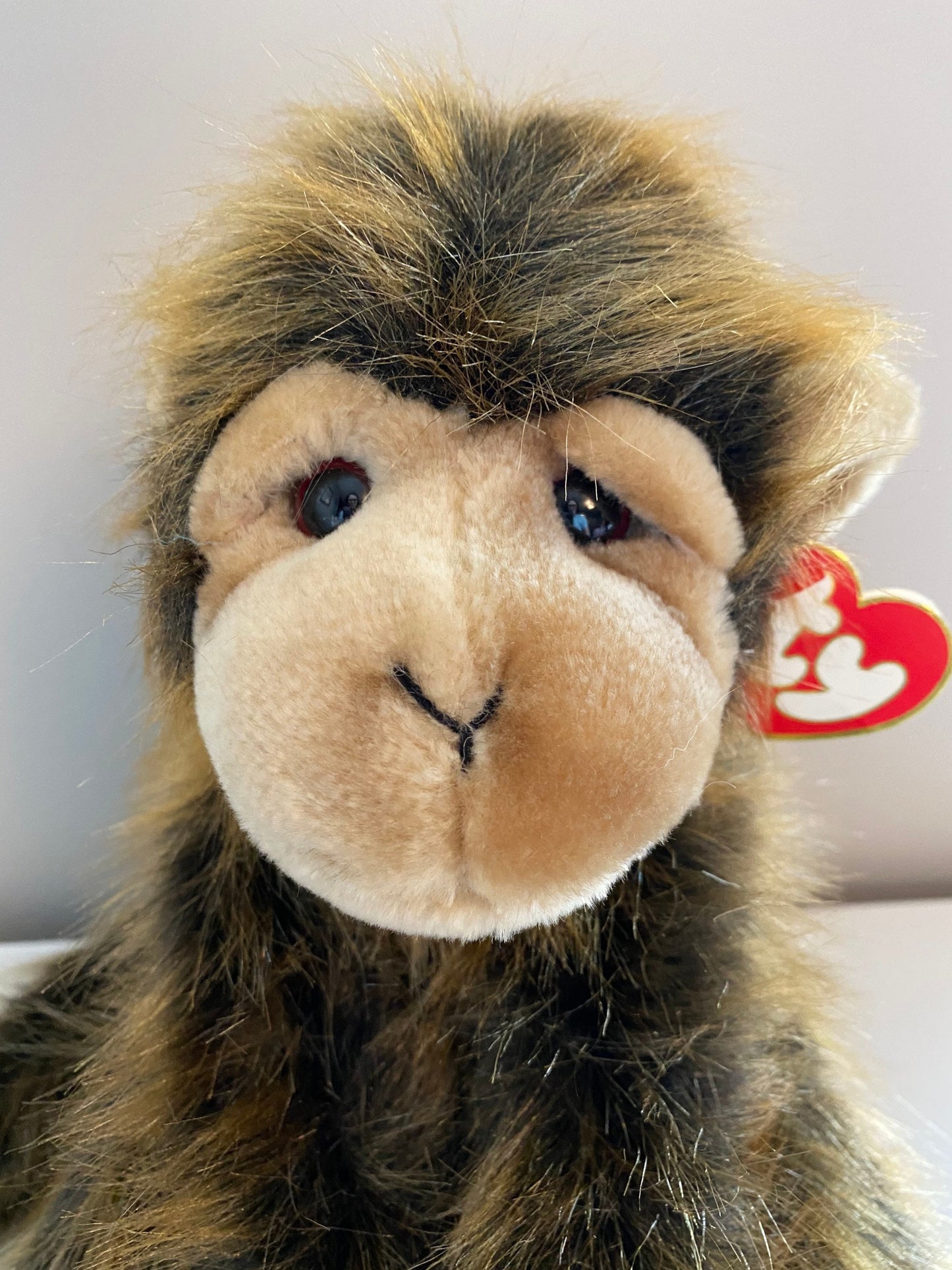 Ty Classics Collection “Cha Cha” the Chimpanzee! (12 inch)