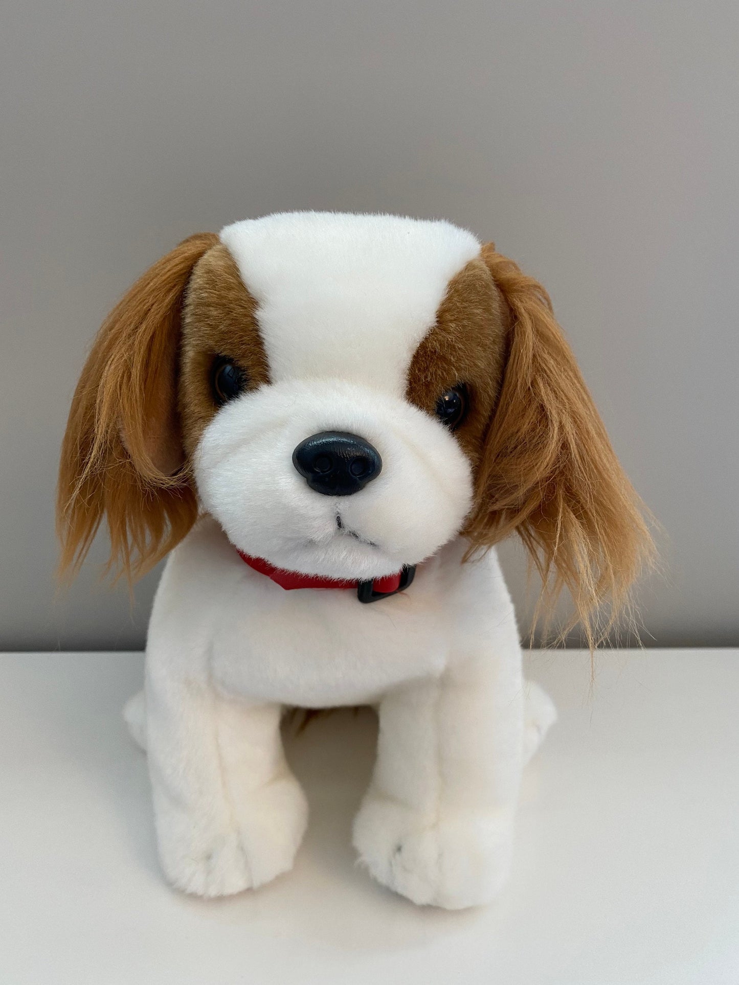 Ty Beanie Buddy “Regal” the King Charles Spaniel Dog (9.5 inch)