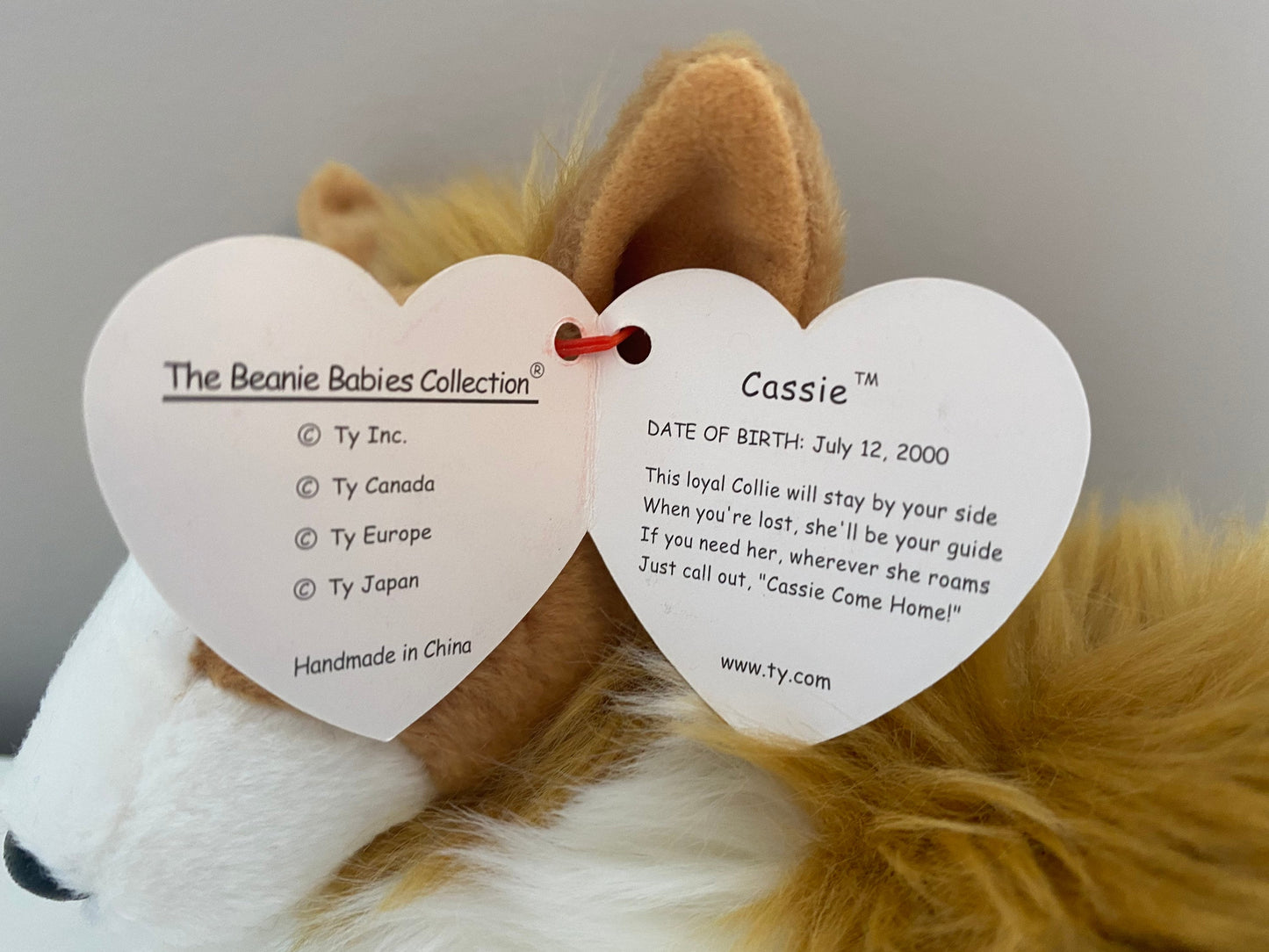 Ty Beanie Baby “Cassie” the Collie Dog  (7 inch)