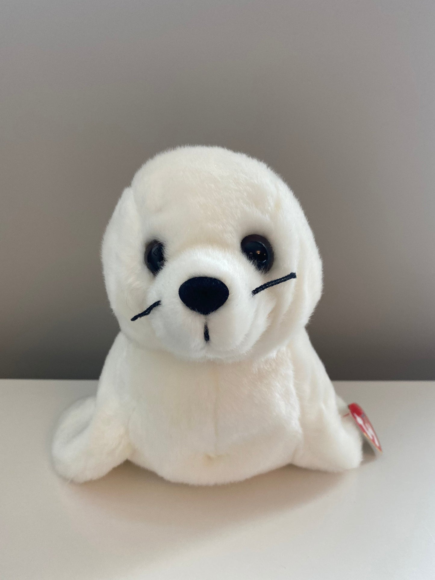 Ty Beanie Buddy “Seal” the White Seal  (12 inch)