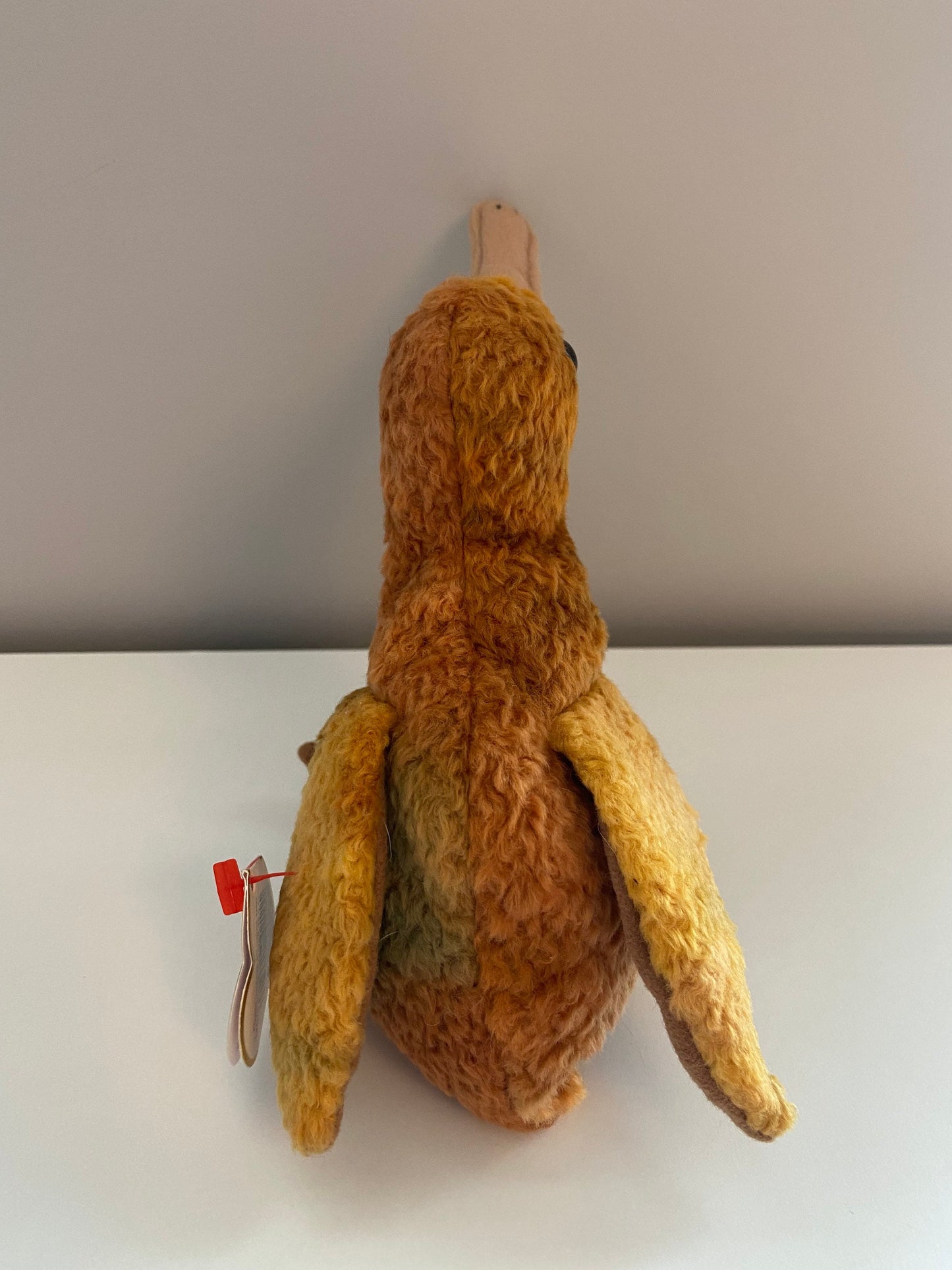 Ty Beanie Baby “Beak” the Kiwi Bird! (5.5 inch)