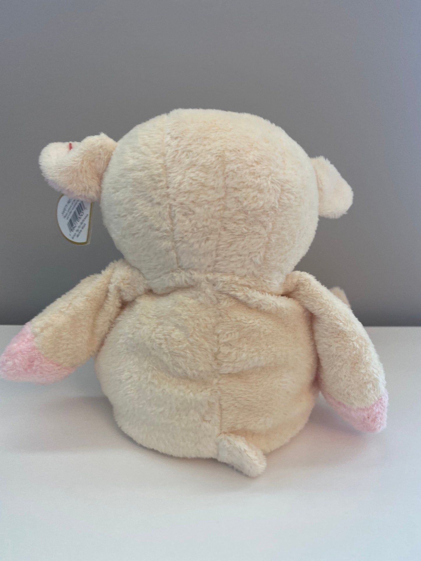 Ty Pluffies Collection “Shearly” the Adorable Lamb  RARE (11 inch)