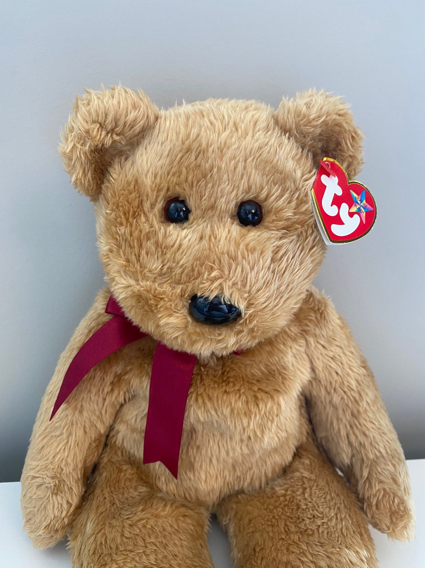 Ty Beanie Buddy “Curly” the Bear (14 inch)