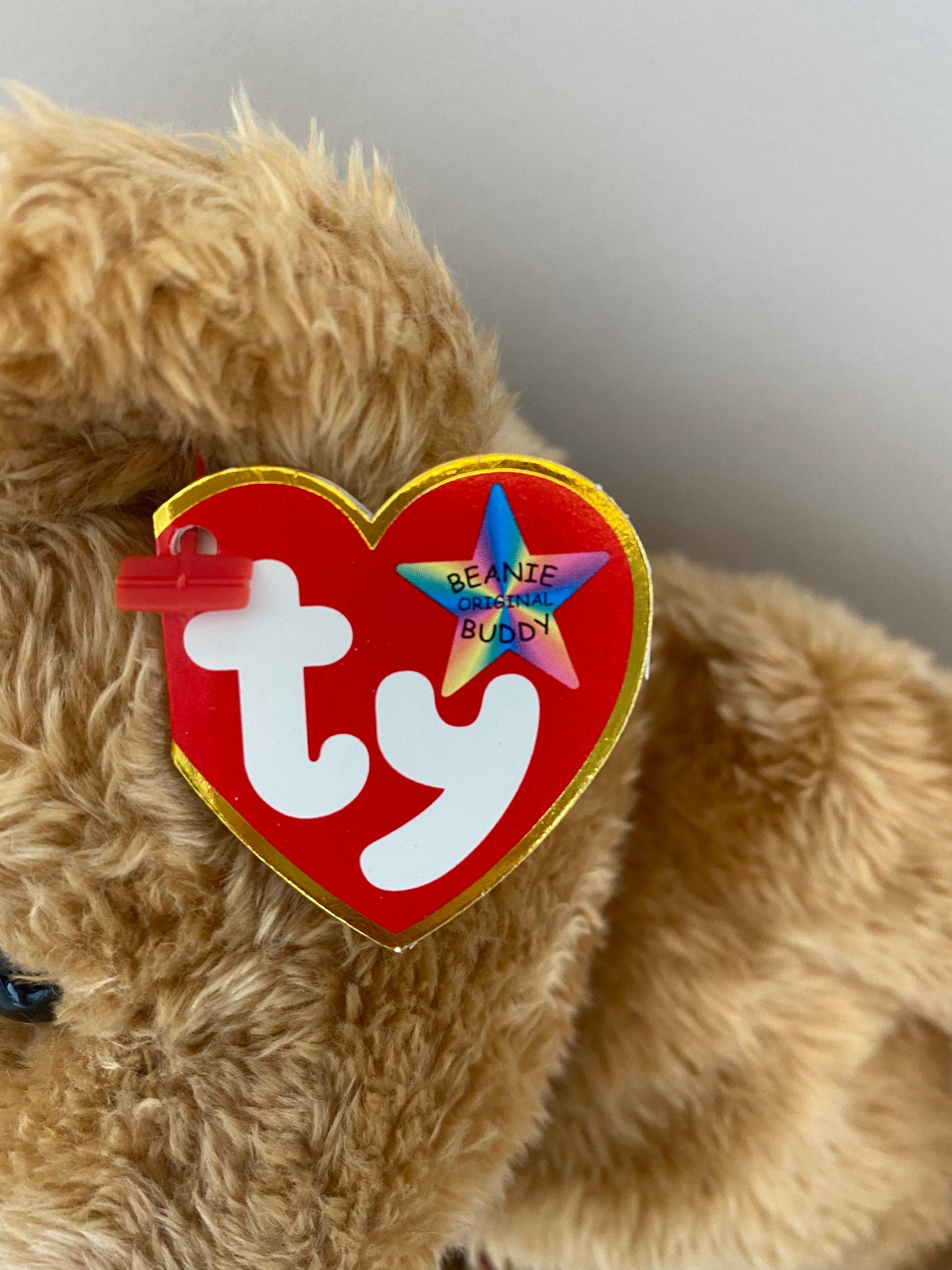 Ty Beanie Buddy “Curly” the Bear (14 inch)