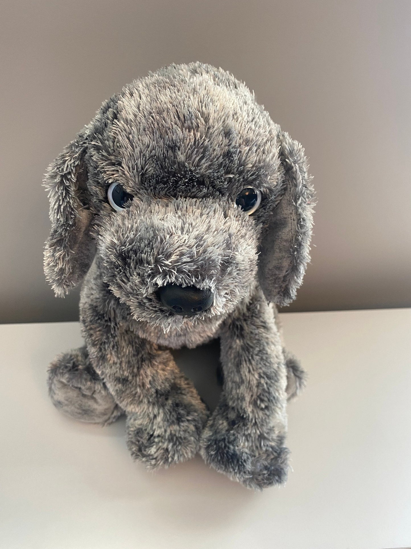 TY Classics Collection “Mercury” the Grey Dog Plush with Blue Collar (12 inch)