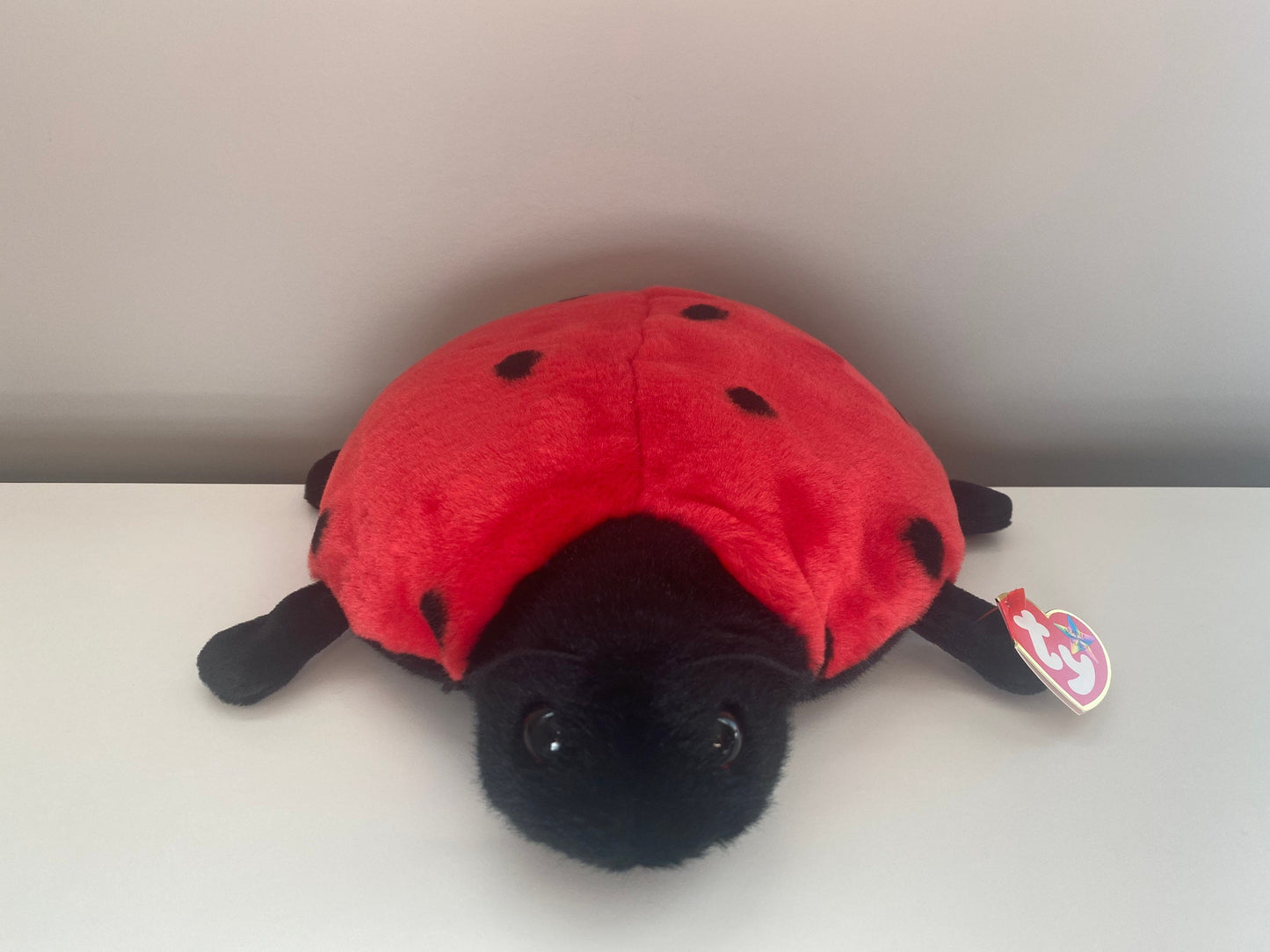 Ty Beanie Buddy “Lucky” the Ladybug  (9.5 inch)