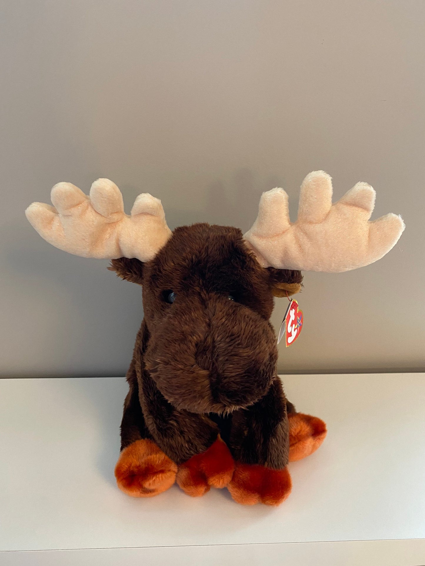 Ty Beanie Buddy “Zeus” the Moose! (10 inch)