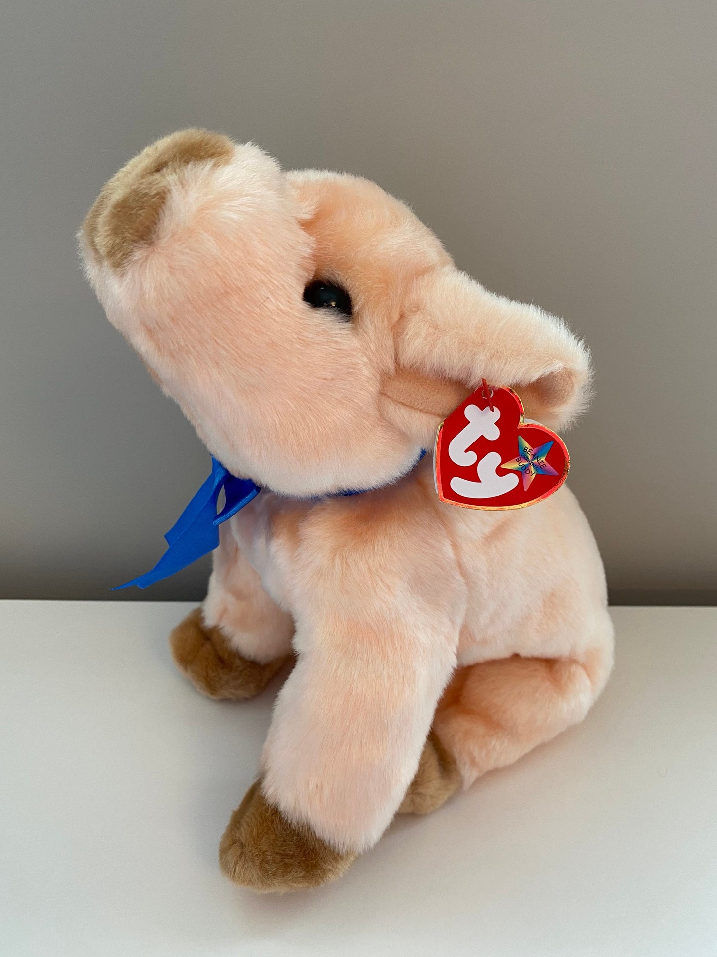 Ty Beanie Buddy “Knuckles” the Pig (10 inch)