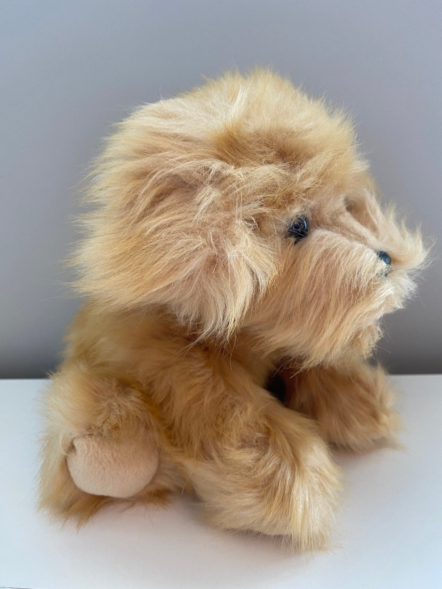 Ty Classics Collection “Colonel” the Adorable Dog *Rare* (9 inch)