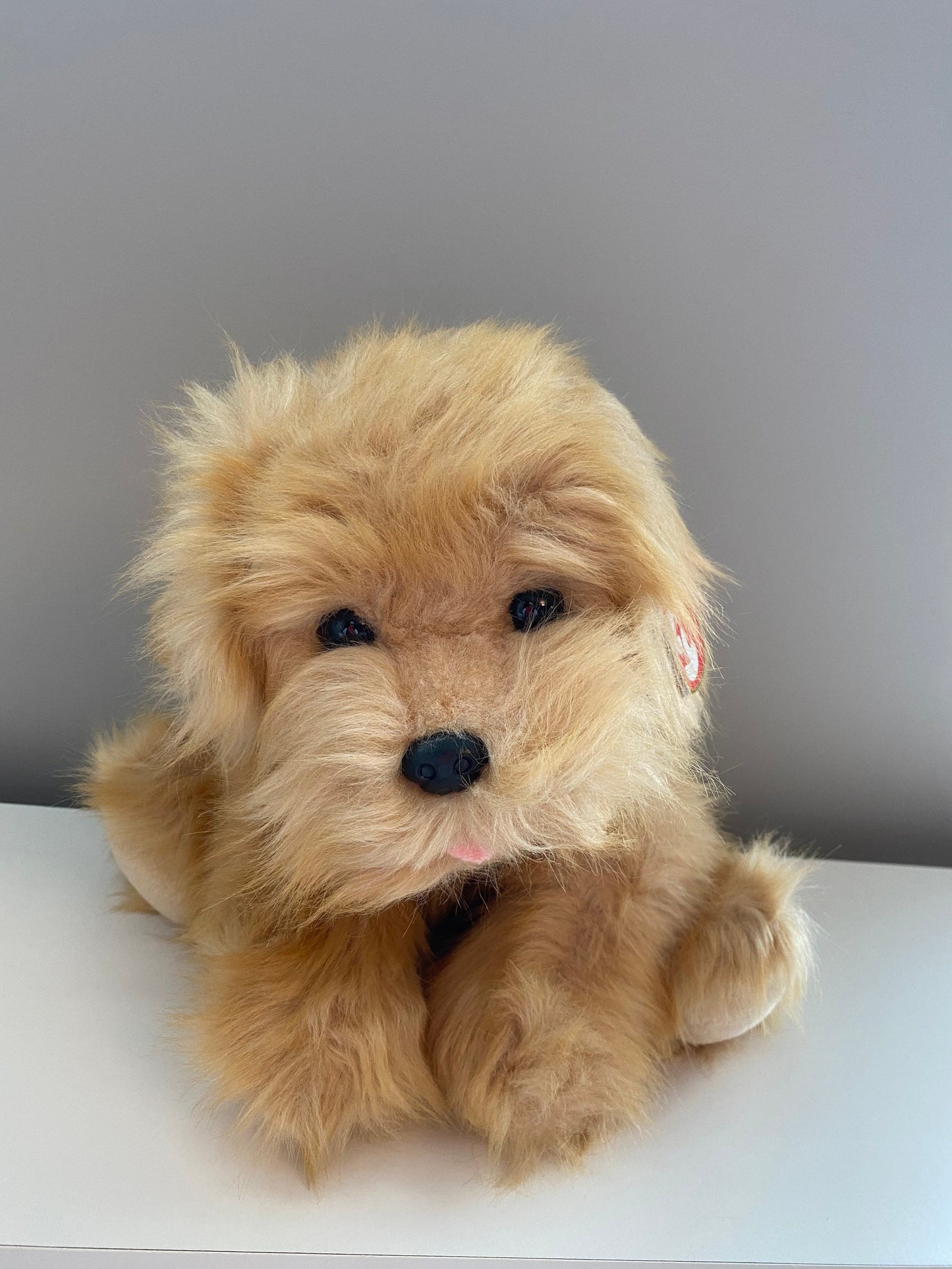 Ty Classics Collection “Colonel” the Adorable Dog *Rare* (9 inch)