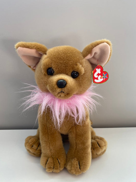 Ty Beanie Buddy “Divalectable” the Chihuahua (10 inch)