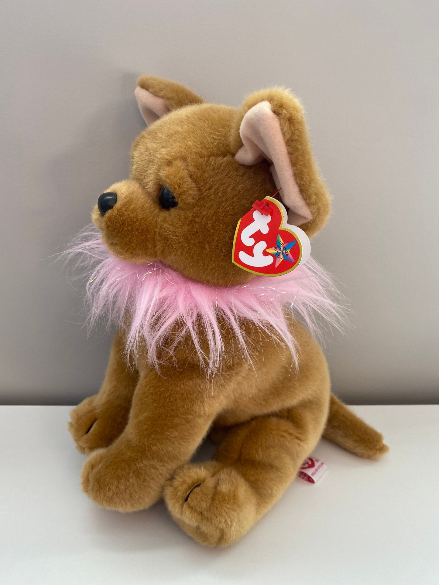 Ty Beanie Buddy “Divalectable” the Chihuahua (10 inch)