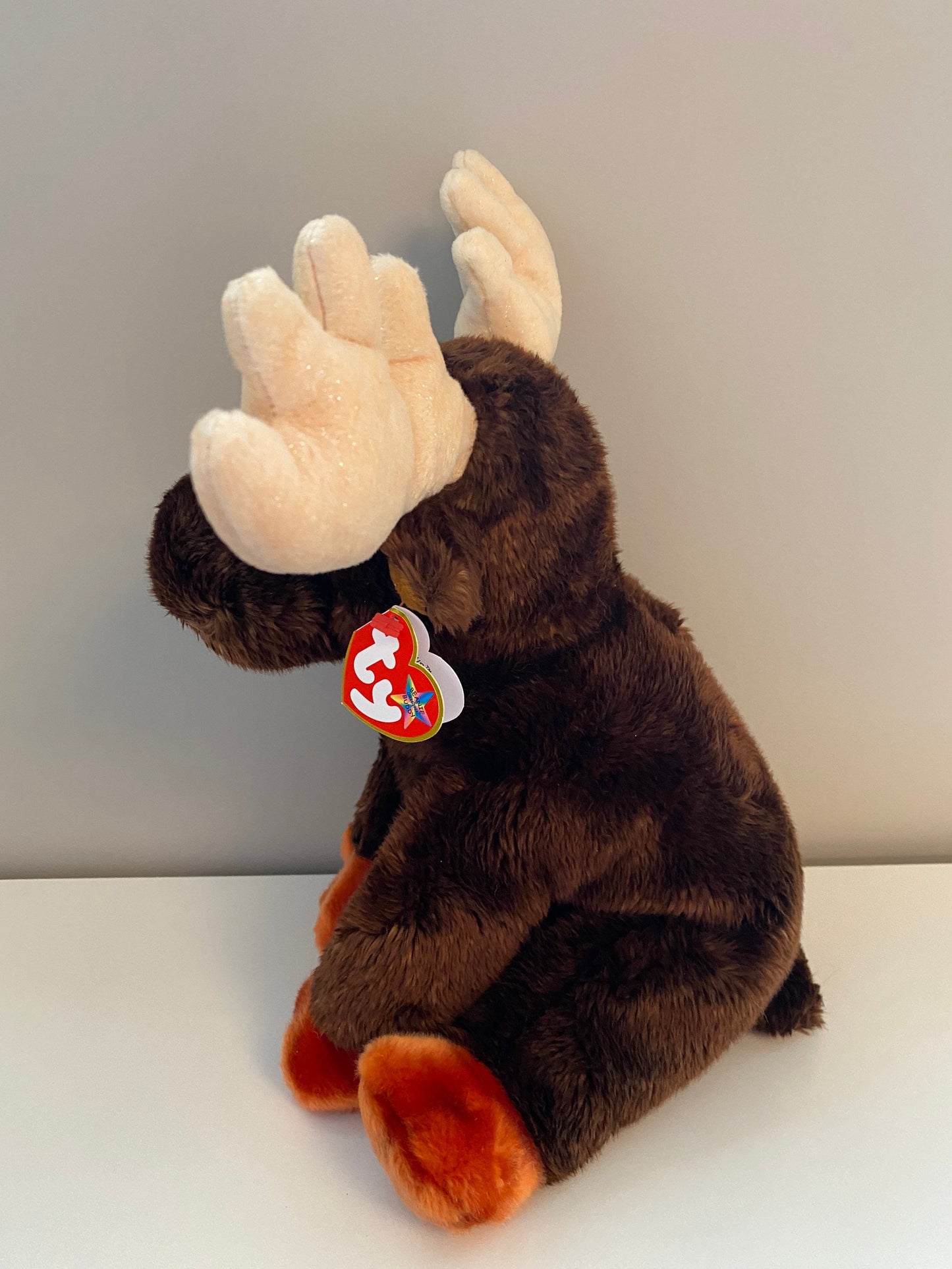 Ty Beanie Buddy “Zeus” the Moose! (10 inch)