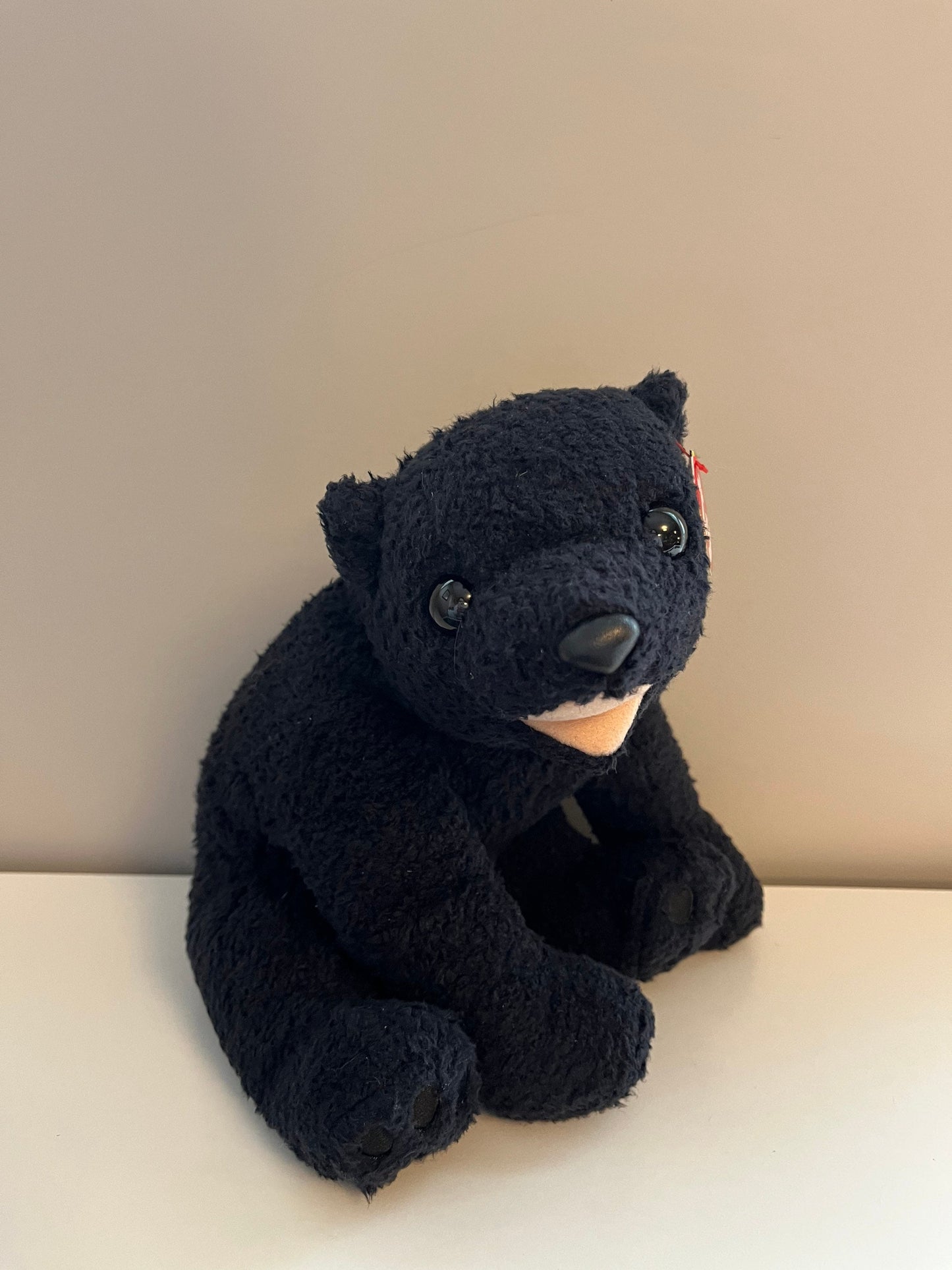 Ty Beanie Buddy “Cinders” the Black Bear (10 inch)