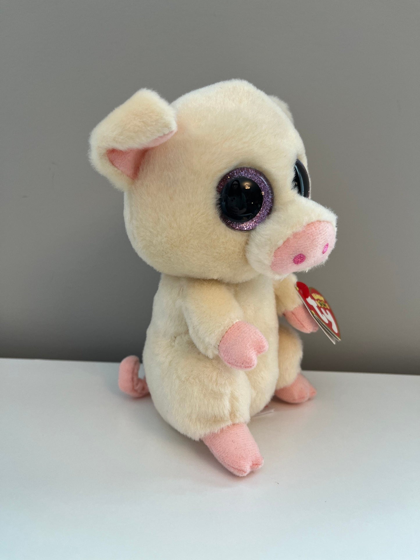 Ty Beanie Boo “Piggley” the Pig (6 inch)