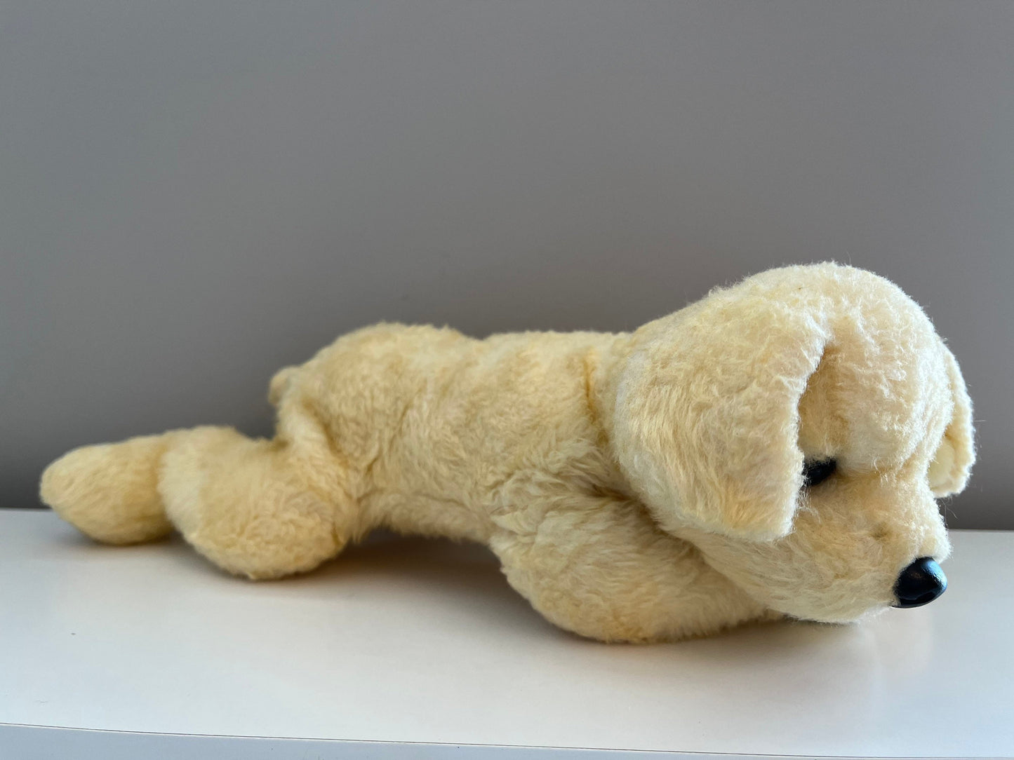 Ty Classics Collection “Sunny” the Yellow Labrador Dog   *Rare* (11 inch)