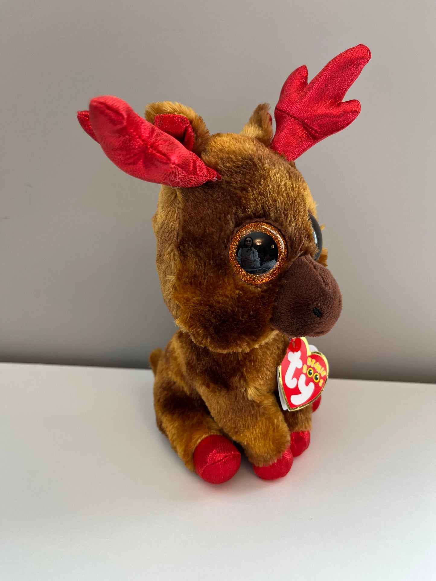Ty Beanie Boo “Maple” the Canadian Moose (6 inch)