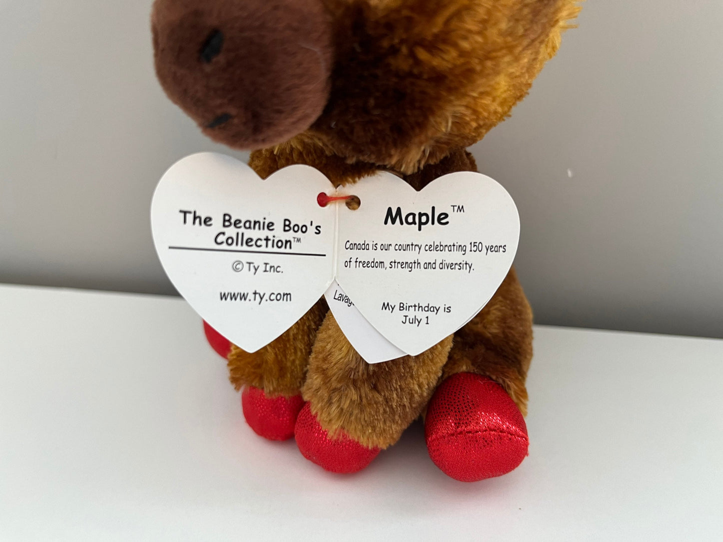 Ty Beanie Boo “Maple” the Canadian Moose (6 inch)