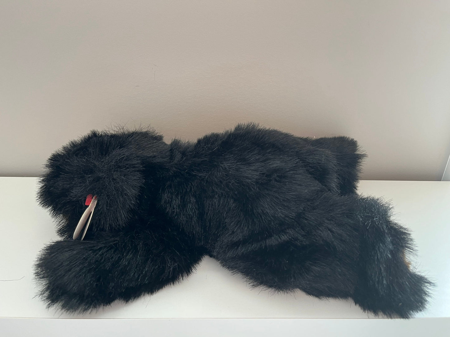 Ty Classics Collection “Baby Paws” the Black Bear  (12 inch)